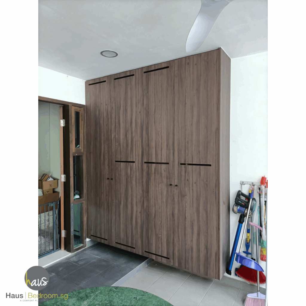 shoe cabinet with swing door